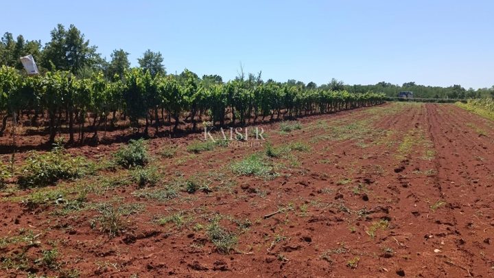 Terreno in vendita 4510 m² – Baderna