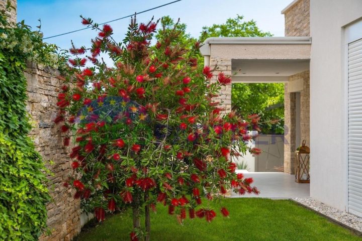 House For sale - Istarska Rovinj - foto 5/36