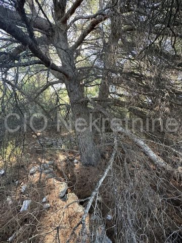 Grundstück Zu verkaufen - šibensko-kninska Rogoznica - foto 4/10