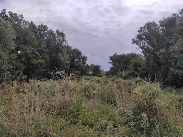 Zemljište na prodaju 2200 m² – Medulin
