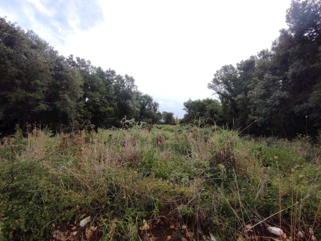 Grundstück Zu verkaufen - Istarska Medulin - foto 2/7