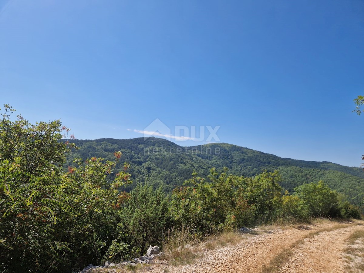 Terreno In vendita - ISTARSKA BUZET