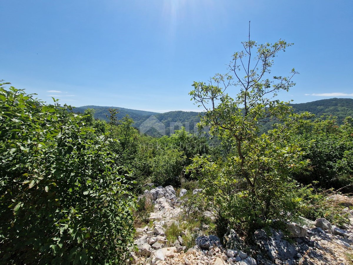 Terreno In vendita - ISTARSKA BUZET