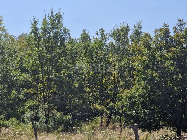 Parcela Naprodaj - Istarska Buzet - foto 3/3