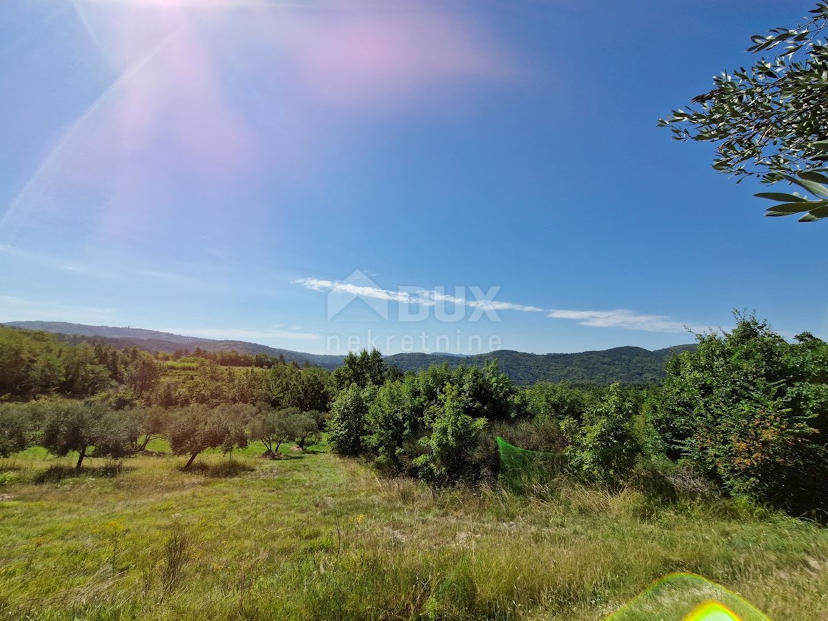 Terreno In vendita - ISTARSKA BUZET