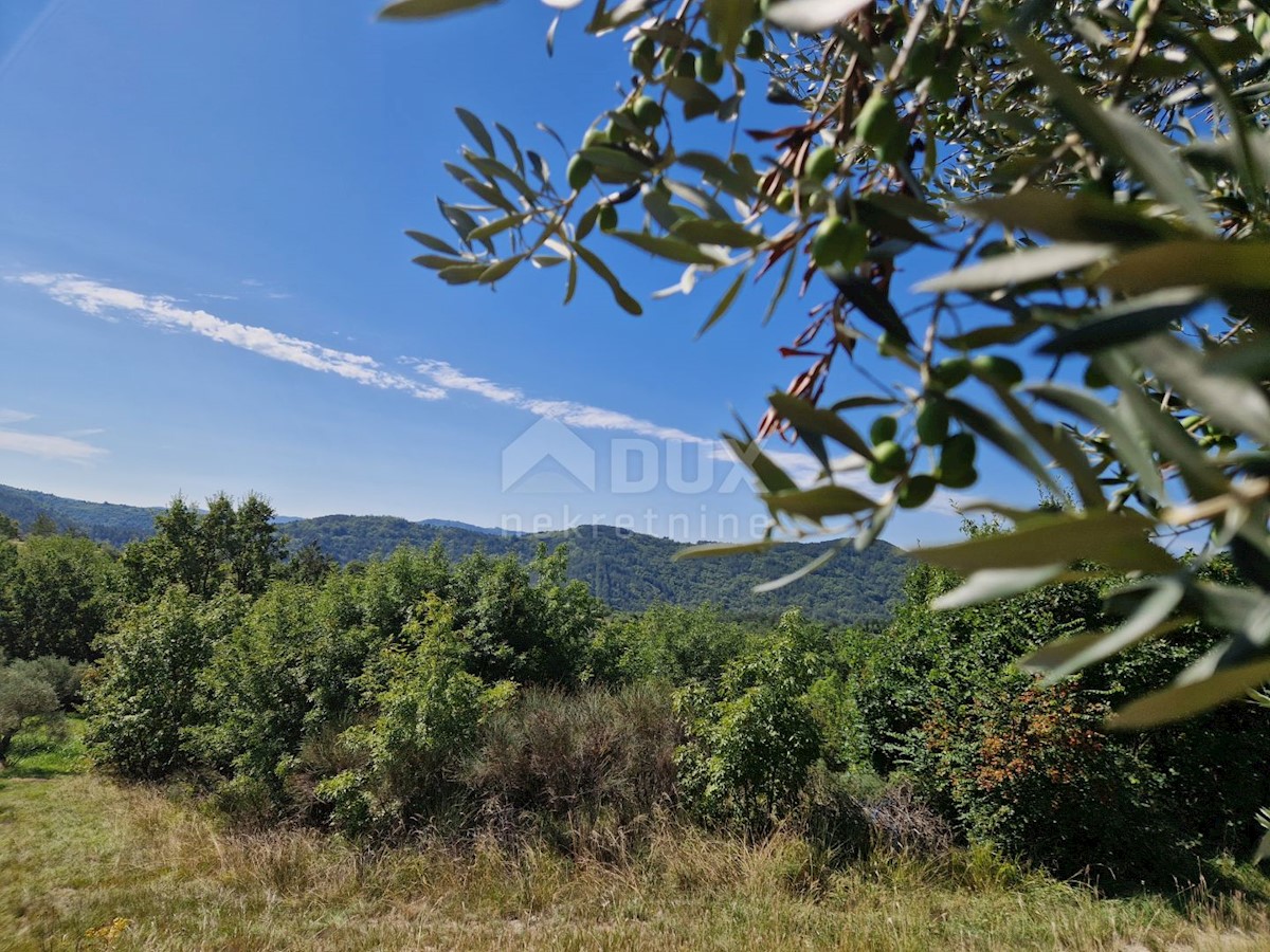 Terreno In vendita - ISTARSKA BUZET