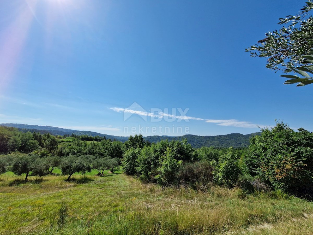 Terreno In vendita - ISTARSKA BUZET