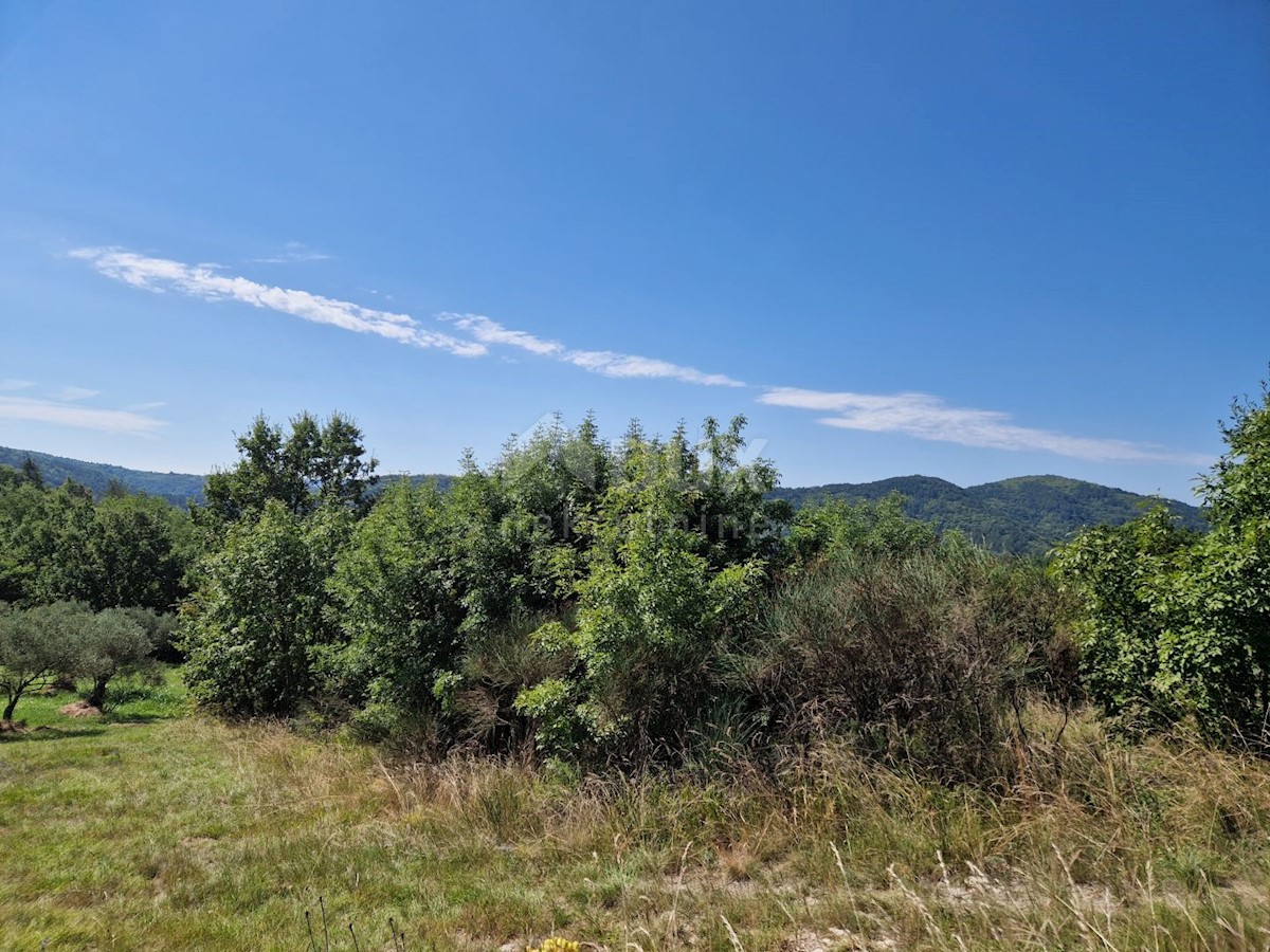 Terreno In vendita - ISTARSKA BUZET