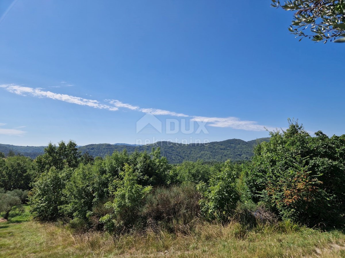 Terreno In vendita - ISTARSKA BUZET