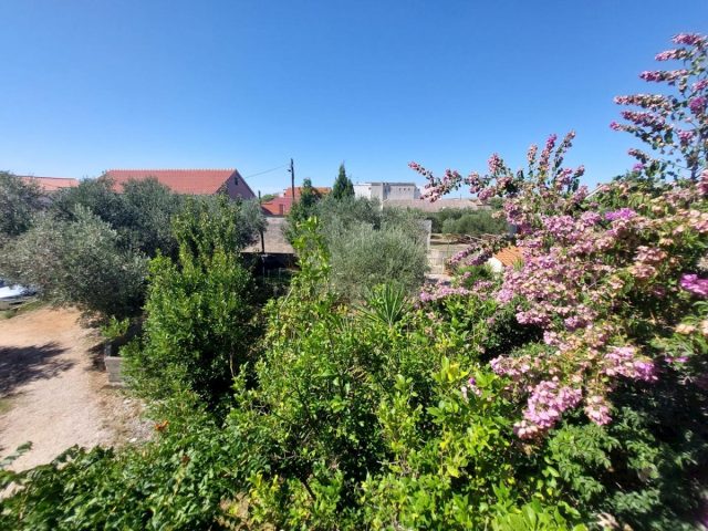Dom Na predaj - Zadarska Vir - foto 3/36