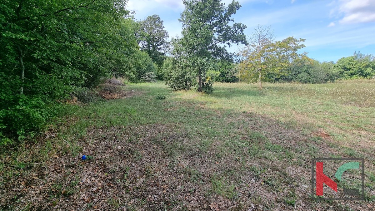 Terreno In vendita - ISTARSKA MARČANA