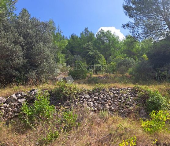 Parcela Naprodaj - Dubrovačko-neretvanska Korčula - foto 3/3