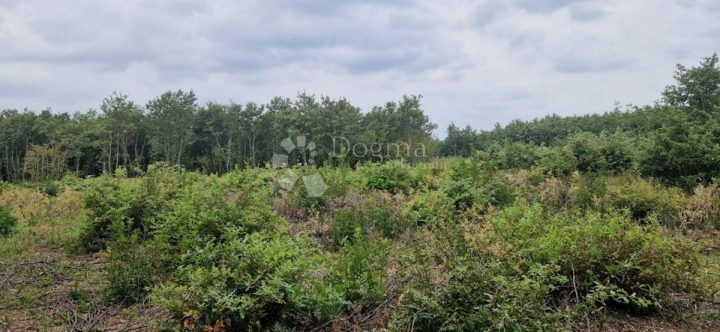 Grundstück zu verkaufen 49110 m² – Vodnjan
