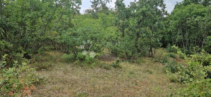 Parcela Naprodaj - Istarska Vodnjan - foto 2/6