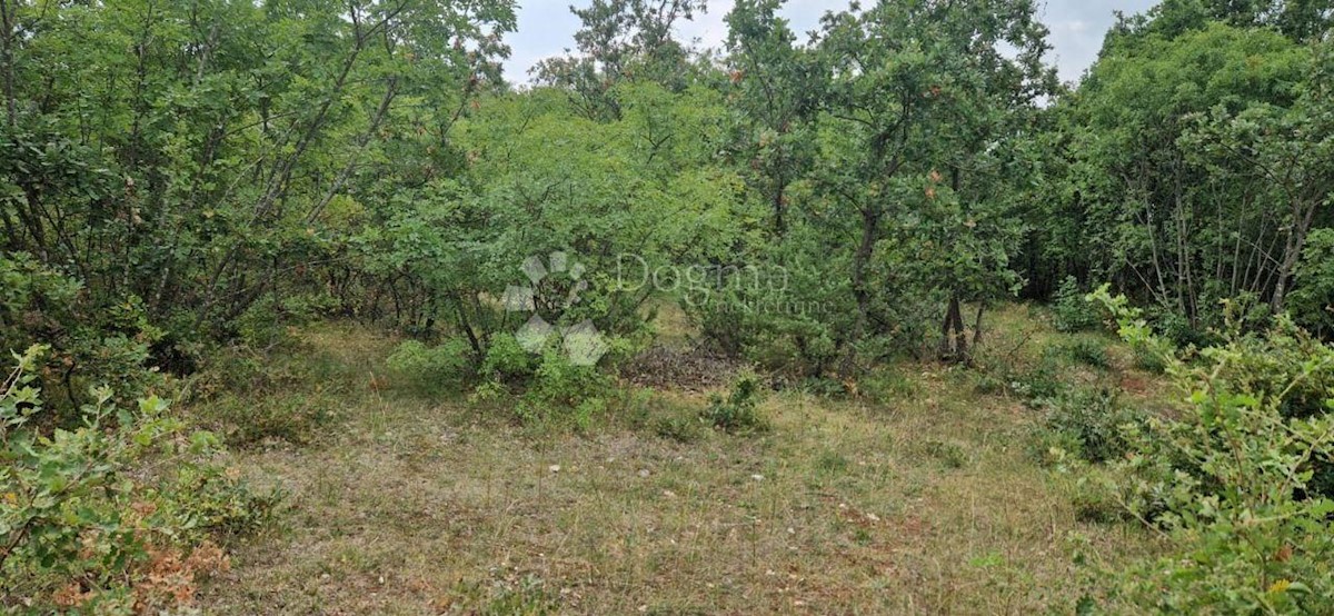 Parcela Na predaj - ISTARSKA VODNJAN