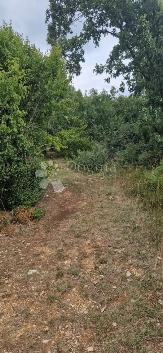 Parcela Naprodaj - ISTARSKA Vodnjan