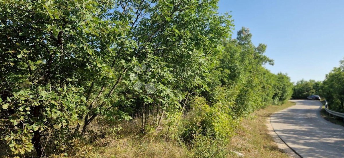 Zemljište Na prodaju - ISTARSKA MARČANA