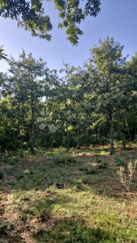 Działka na sprzedaż 16176 m² – Filipana