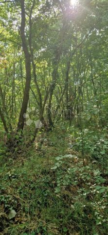 Parcela Naprodaj - Istarska Marčana - foto 2/9