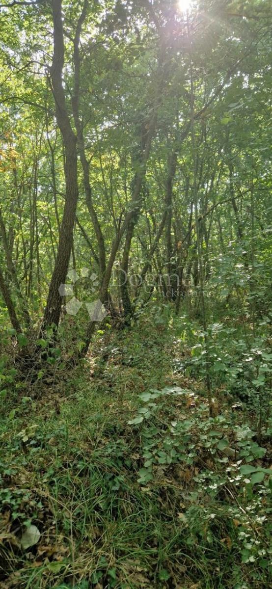 Działka Na sprzedaż - Istarska Marčana - foto 2/8