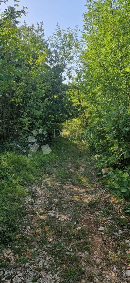 Działka Na sprzedaż - Istarska Marčana - foto 4/8