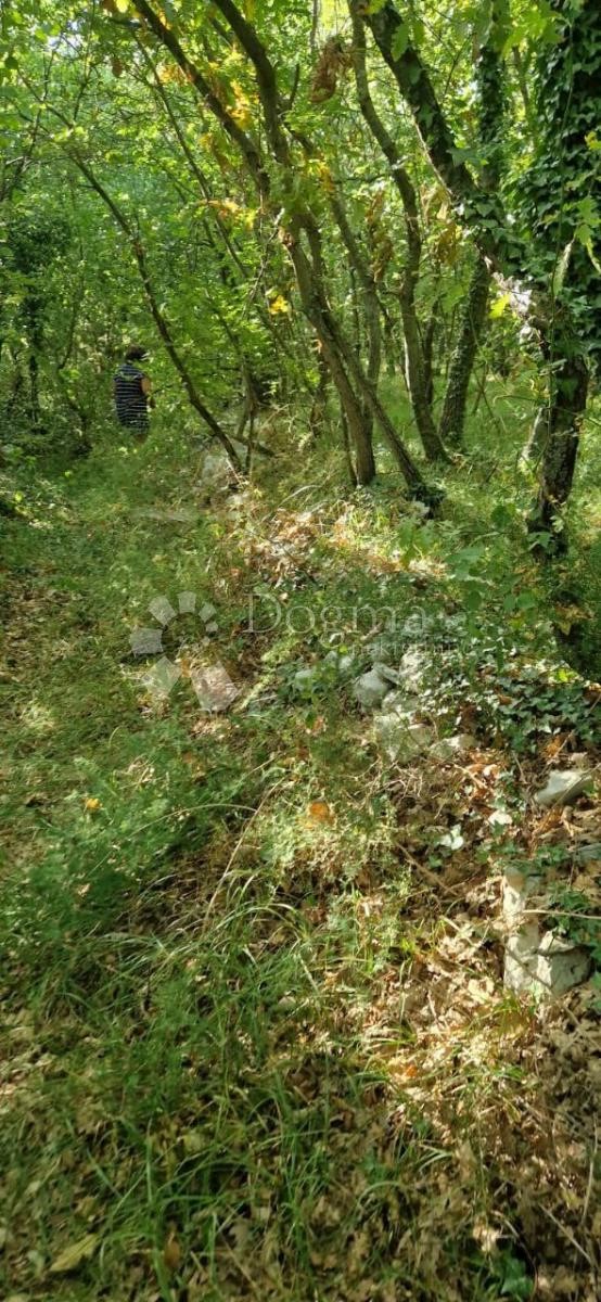 Działka Na sprzedaż - Istarska Marčana - foto 5/8