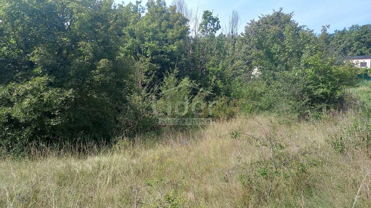 Land For sale - ISTARSKA ŽMINJ