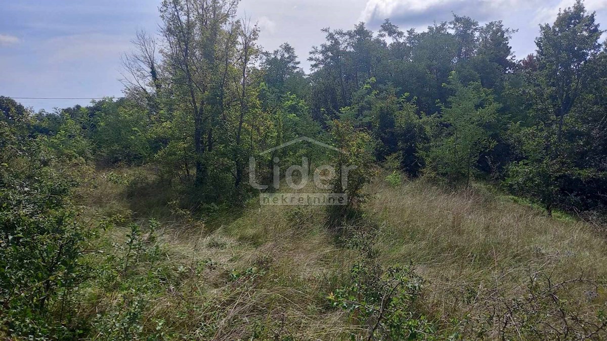 Land For sale - ISTARSKA ŽMINJ