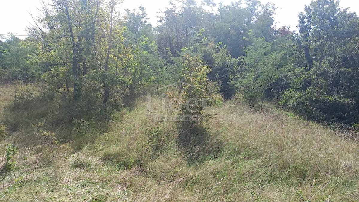 Land For sale - ISTARSKA ŽMINJ