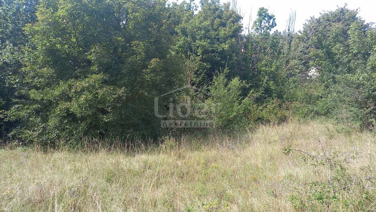 Land For sale - ISTARSKA ŽMINJ