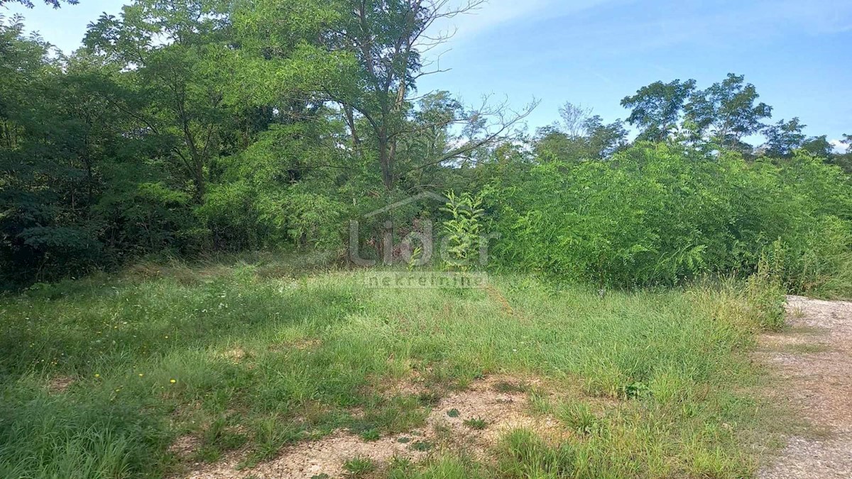 Land For sale - ISTARSKA ŽMINJ