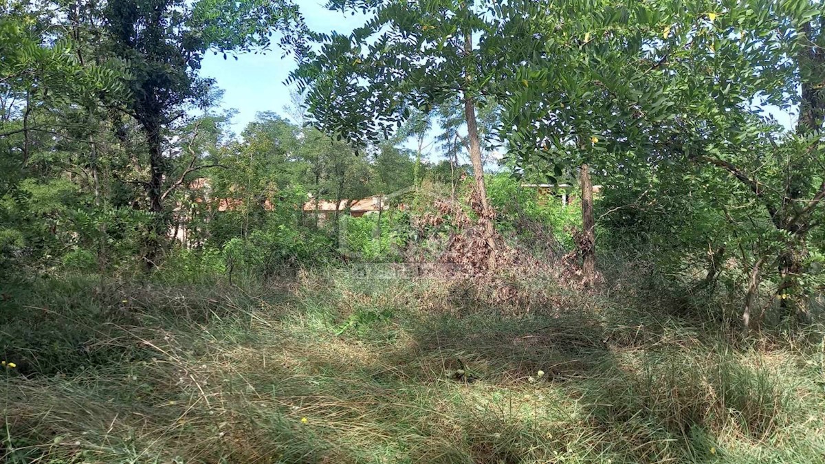 Terreno In vendita - ISTARSKA ŽMINJ