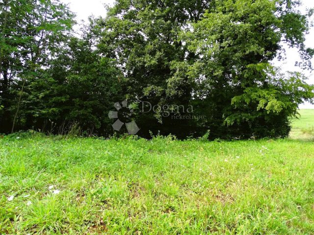 Terrain À vendre - Istarska Višnjan - foto 5/7