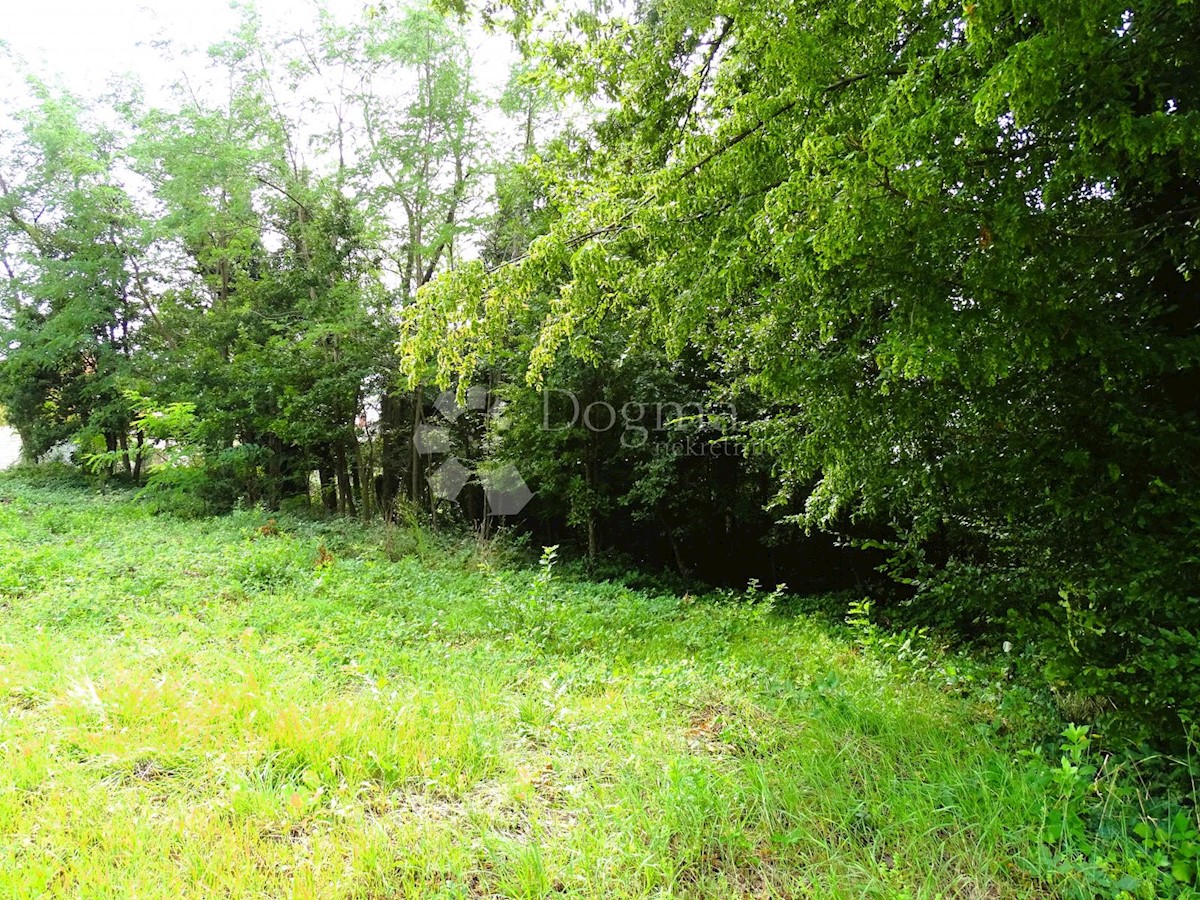 Pozemok Na predaj - ISTARSKA VIŠNJAN