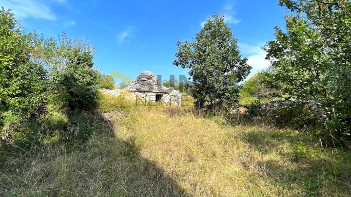 Zemljište na prodaju 9718 m² – Vodnjan
