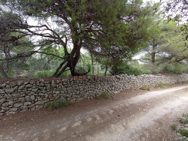 Terrain À vendre - Zadarska Ugljan - foto 3/10