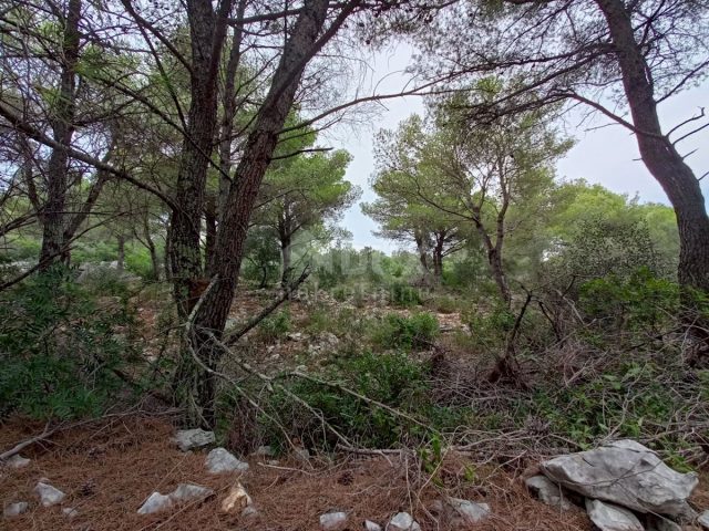 Terrain À vendre - Zadarska Ugljan - foto 4/10