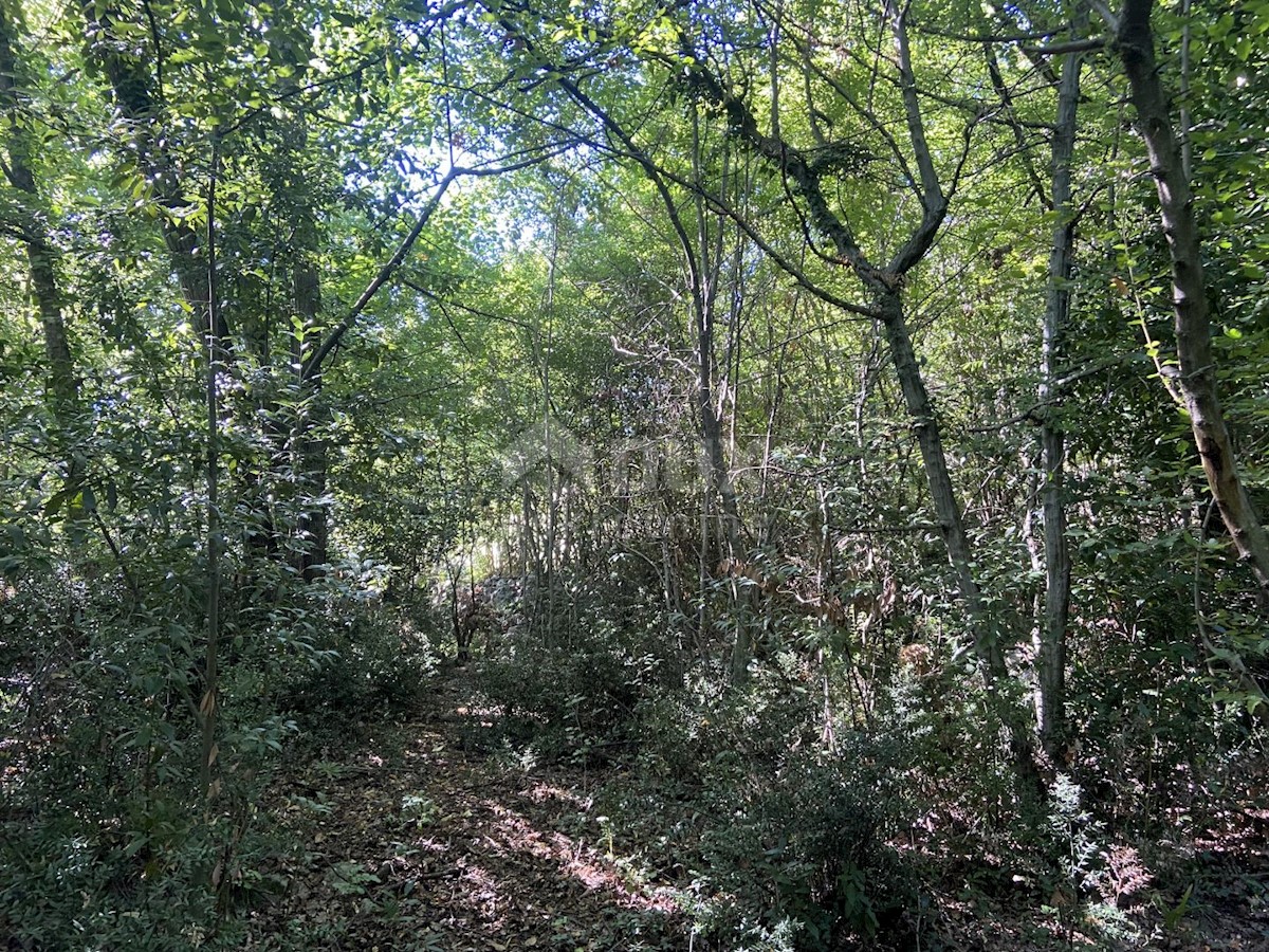 Parcela Naprodaj - PRIMORSKO-GORANSKA Kastav