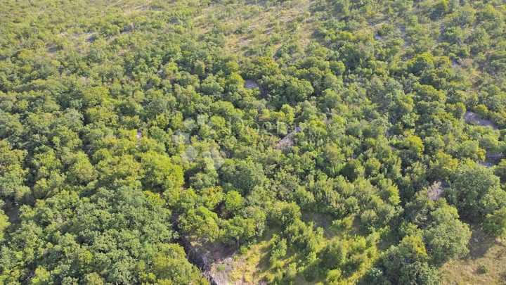 Land for sale 3128 m² – Krasica