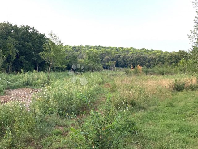 Land for sale 2357 m² – Banjole