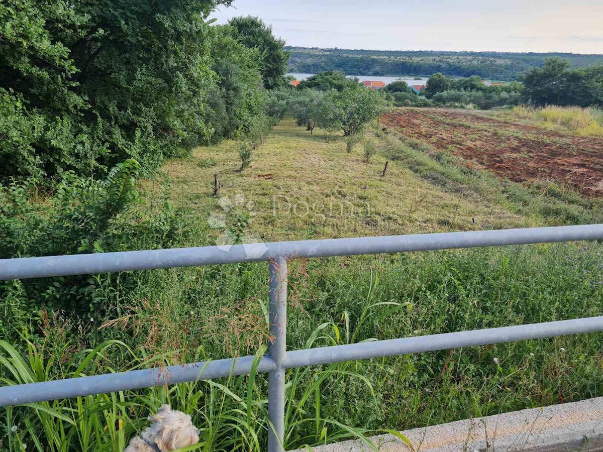 Terreno In vendita POSEDARJE