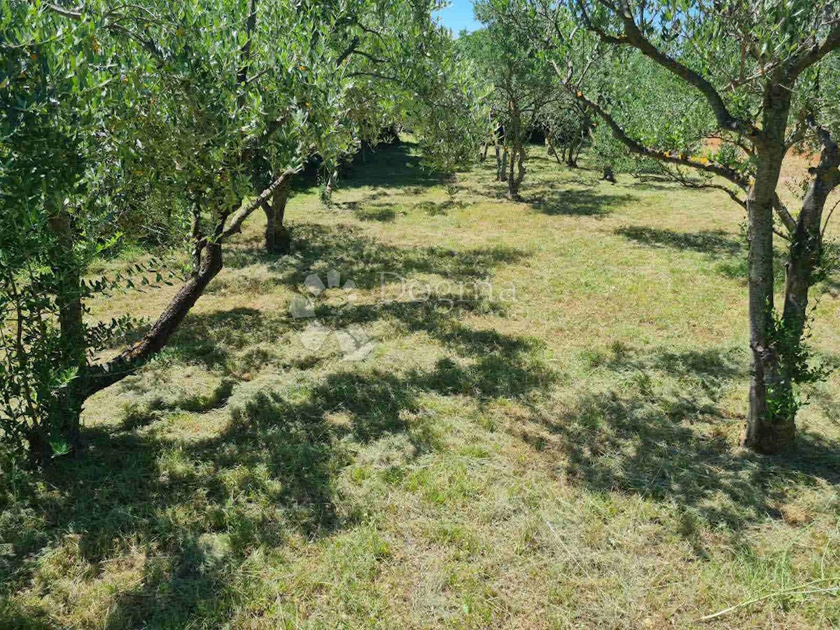 Land For sale - ZADARSKA POSEDARJE