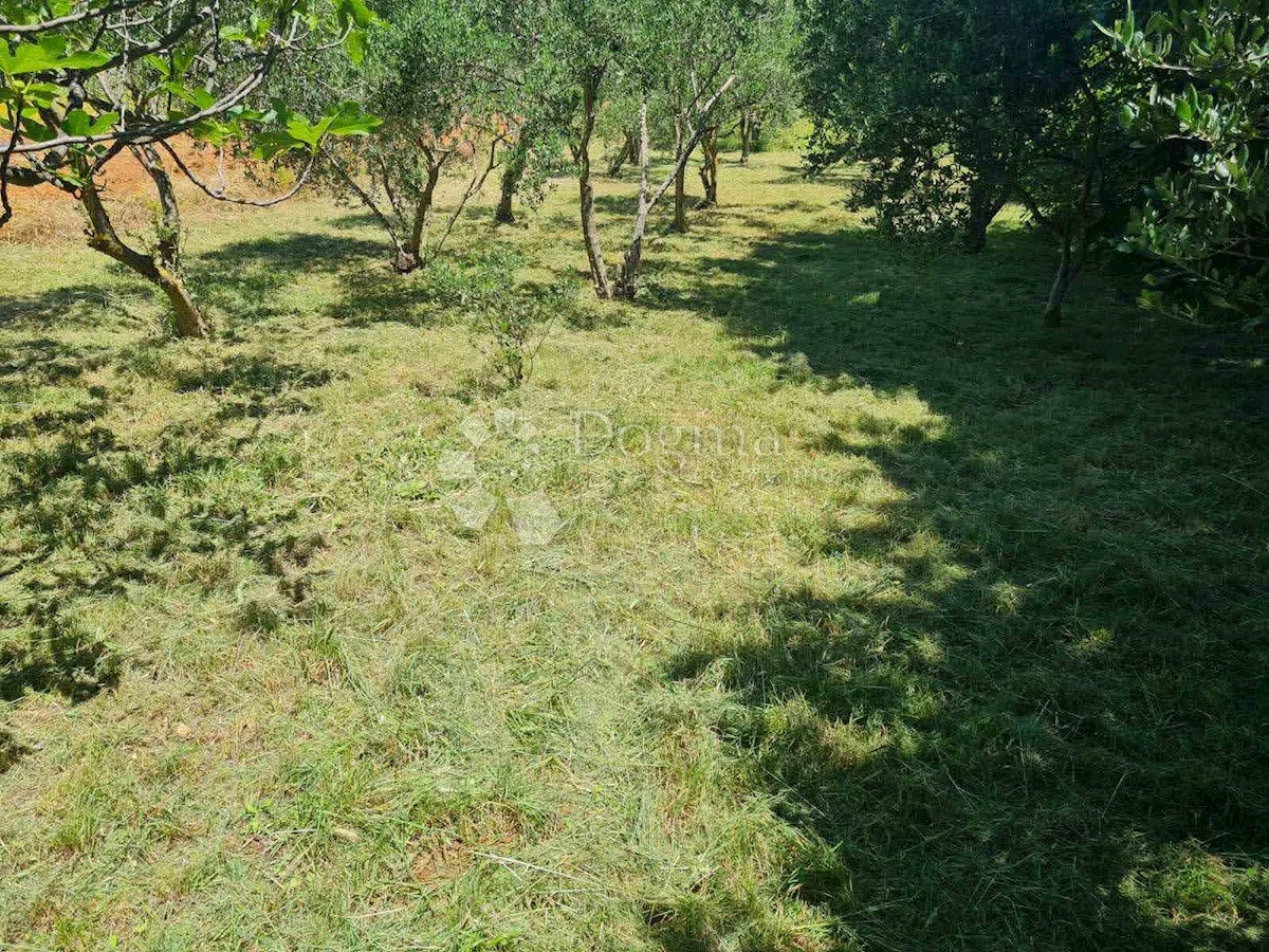 Land For sale - ZADARSKA POSEDARJE