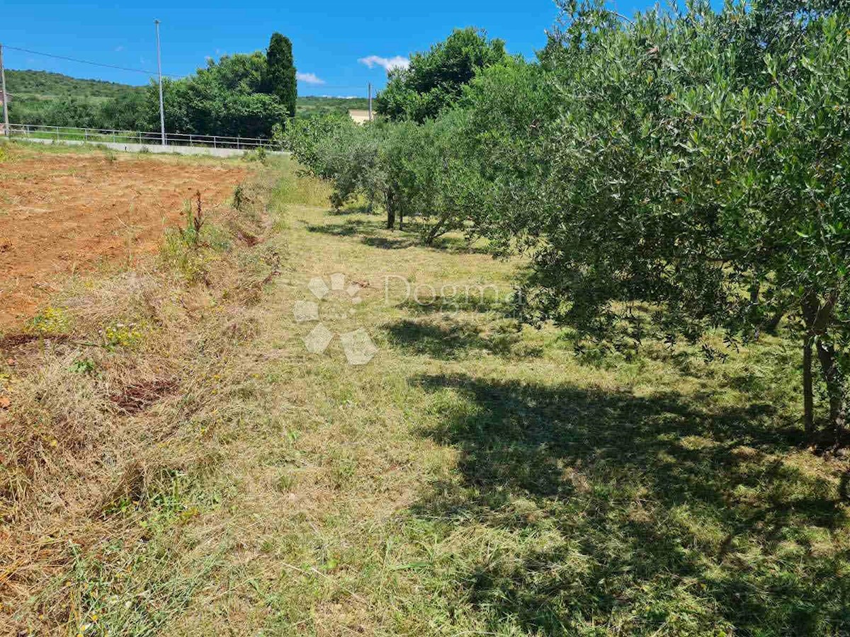 Terreno In vendita - ZADARSKA POSEDARJE