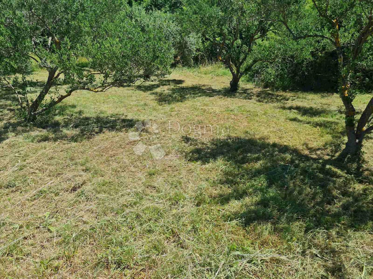 Terreno In vendita - ZADARSKA POSEDARJE