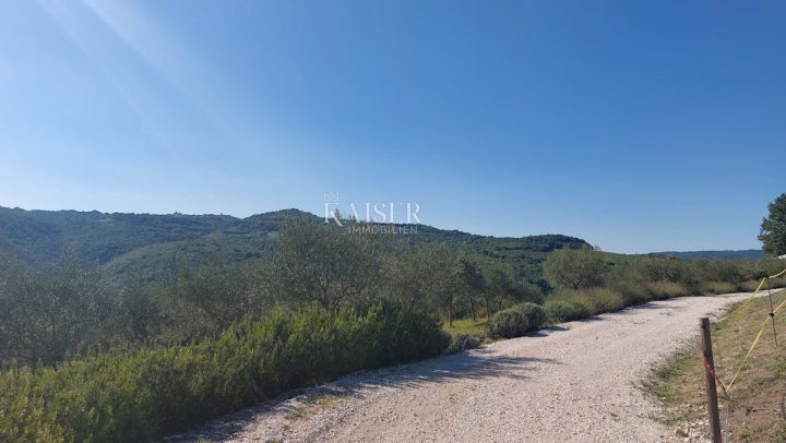 Pozemok na predaj 2450 m² – Motovun