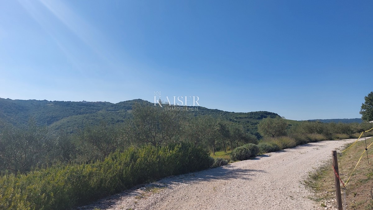 Parcela Na predaj - Istarska Motovun - foto 1/6