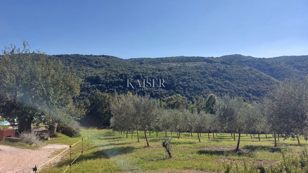 Parcela Na predaj - Istarska Motovun - foto 2/6