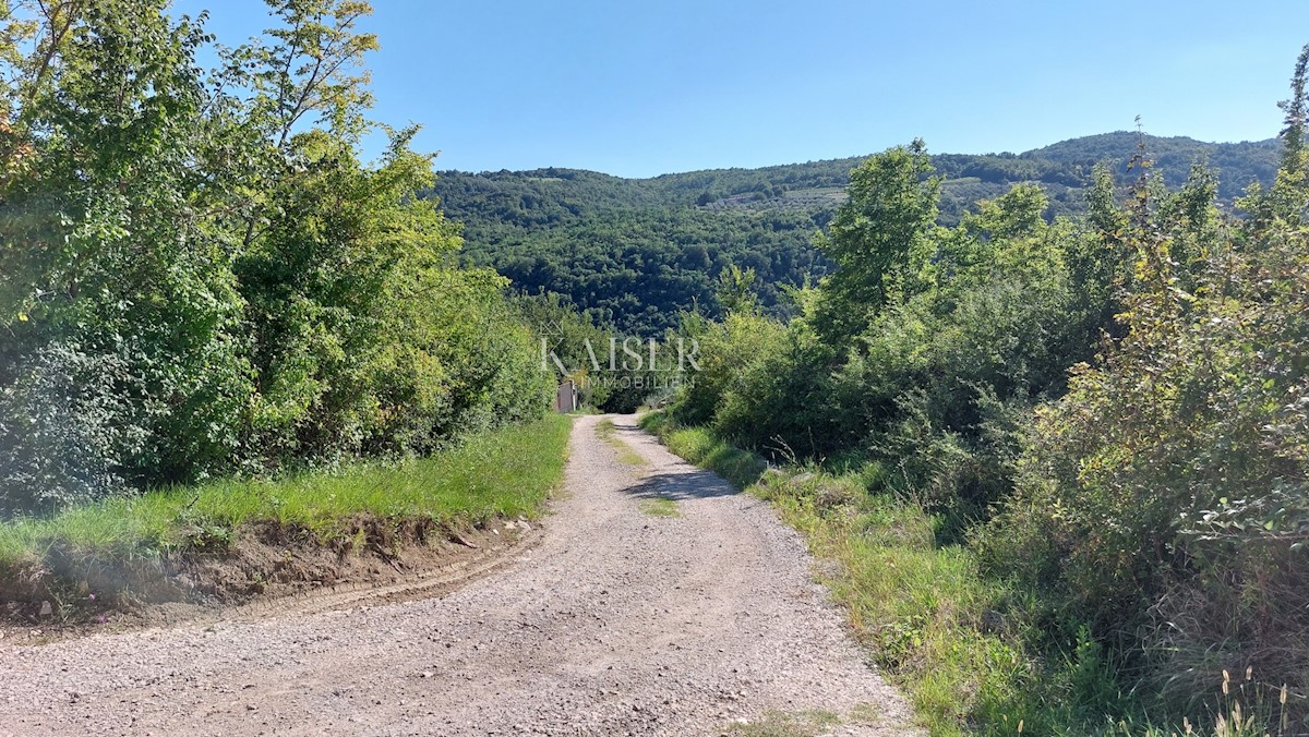 Parcela Na predaj - Istarska Motovun - foto 5/6