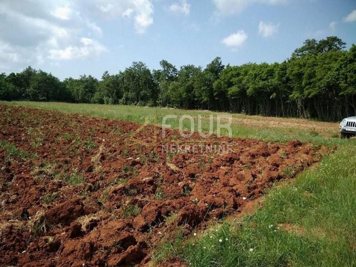 Terrain À vendre - Istarska Svetvinčenat - foto 1/11